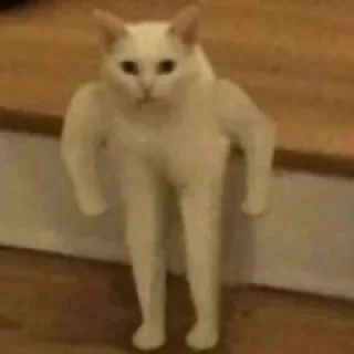 Sticker 💪 ﮼ححيدر،ععلي🐺🌶