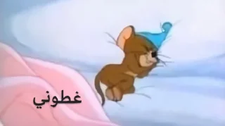 Telegram sticker 🌚 ﮼ححيدر،ععلي🐺🌶