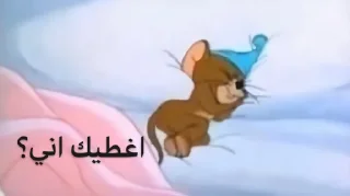 Telegram sticker 🌚 ﮼ححيدر،ععلي🐺🌶