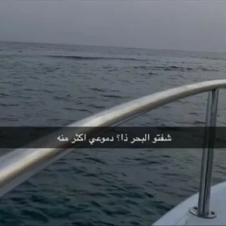 Telegram sticker 😭 خَوَى