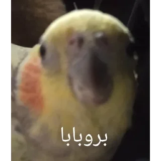 Telegram sticker 🍂 MMD(پت سابق و الفوی سابق تر)