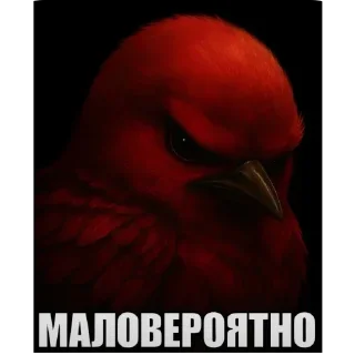 Video sticker 🤨 birds @vasyapepsi
