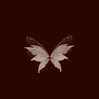 Video sticker 🌟 𝛲 ᰻⃪᱂ 𝛊 ꪀ 𝛓 𝛆 ✨❤️ @merainfo