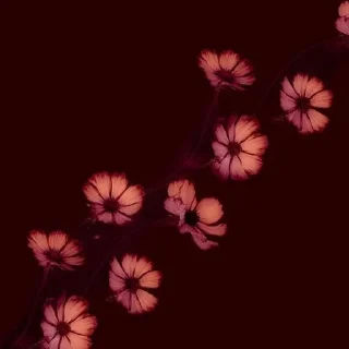 Telegram sticker 🌟 𝛲 ᰻⃪᱂ 𝛊 ꪀ 𝛓 𝛆 ✨❤️ @merainfo