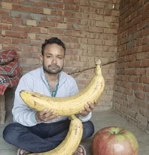 Telegram sticker 🌟 Biharizz in wonderland @HexFile