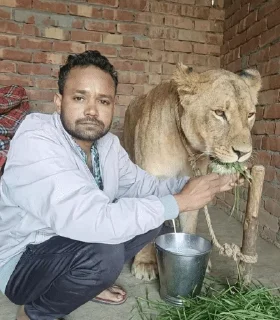 Telegram sticker 🌟 Biharizz in wonderland @HexFile