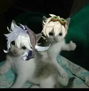 Video sticker 🥰 Митаса😎