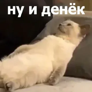 Telegram sticker 🫥 ВСЕ СТИКИ ТУТ: @sekstick