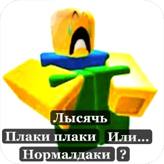 Video sticker 🧑‍🦲 • Tim’s • lulz