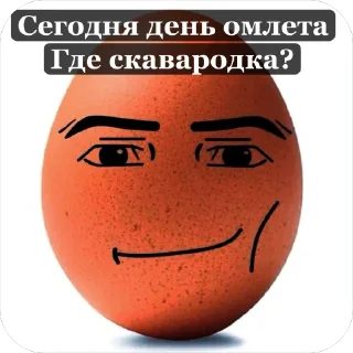 Video sticker 🍳 • Tim’s • lulz