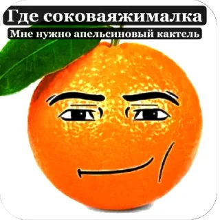 Sticker 🍊 • Tim’s • lulz