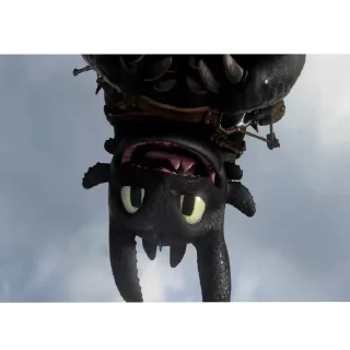 Video sticker 😺 httyd / @XENKU7