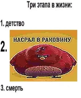 Video sticker 💀 КонтрнахрюкV2 :: @fStikBot