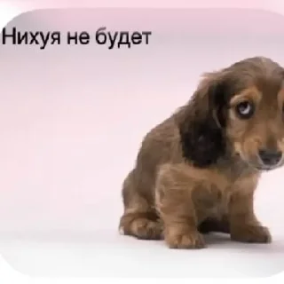 Telegram sticker 🤩 тт @TgEmodziBot