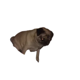 Telegram sticker 🐶 🦒 Personal Giraffe :: @fStikBot