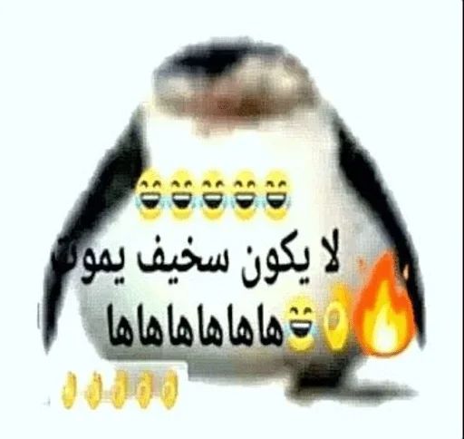 Telegram sticker 😅 Гарем мужиков (Всех с 2026-м!)