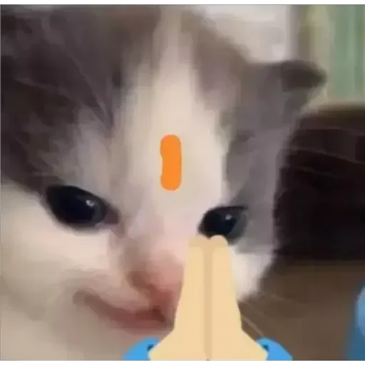 Telegram stiker 👍 @Helium_Fx Fav.