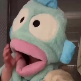 Video sticker 🥰 🍳摇一摇小肉包 @yaoyiyaoxiaokeai