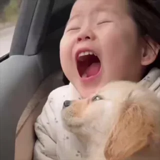 Video sticker 🥰 🍳摇一摇小肉包 @yaoyiyaoxiaokeai