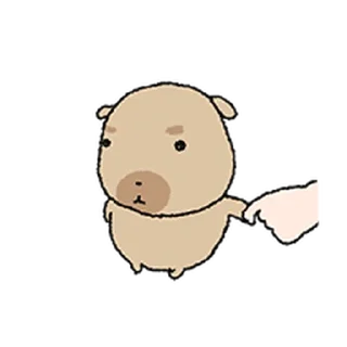 Video sticker ⭐ 조구만 똥개 도룽이 3 @moe_sticker_bot