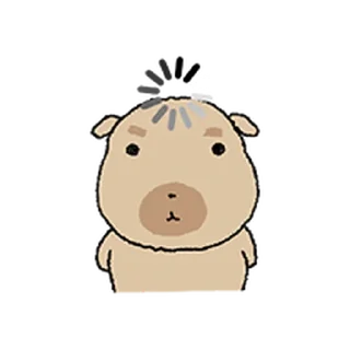 Video sticker ⭐ 조구만 똥개 도룽이 3 @moe_sticker_bot