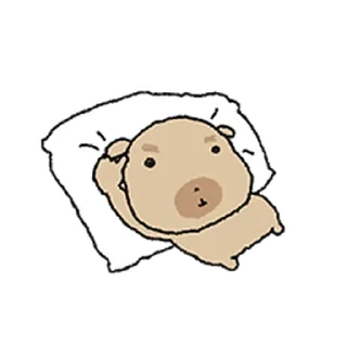 Video sticker ⭐ 조구만 똥개 도룽이 3 @moe_sticker_bot