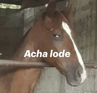 Video sticker 🌟 Ppskppy :: @fStikBot