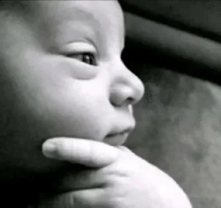 Telegram sticker 🌟 Ppskppy :: @fStikBot