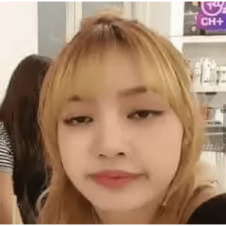 Sticker 😀 blackpink