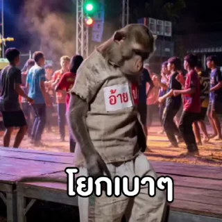 Video sticker 🥶 @mystickerthai_bot บักลิงค์ ไป KTV