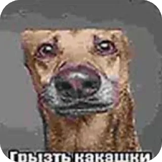 Telegram sticker 💩 психологический хоррор ::