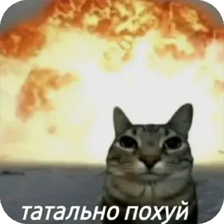 Telegram sticker 🔥 психологический хоррор ::