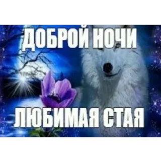 Telegram sticker 🫥 психологический хоррор ::