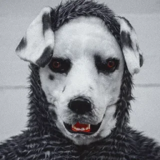 Telegram sticker 🐶 Hehehe