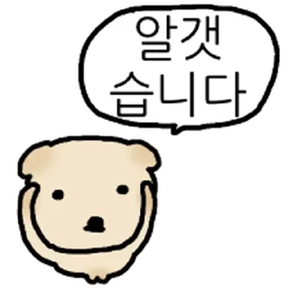 Video sticker ⭐ 은근히 공손한 두식이 @moe_sticker_bot