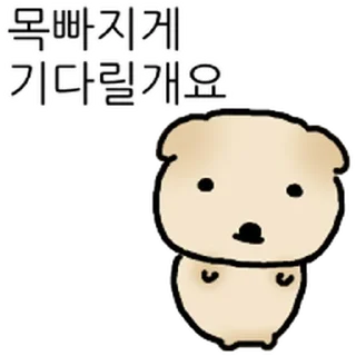 Video sticker ⭐ 은근히 공손한 두식이 @moe_sticker_bot