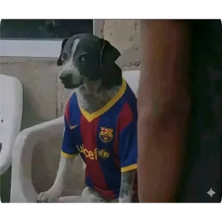 Telegram sticker 😠 SO ZOEIRAS