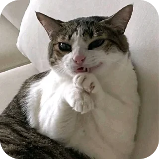 Telegram sticker 😈 SO ZOEIRAS