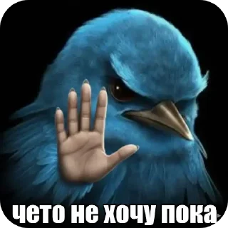 Sticker 🐦‍⬛️ 🏀 Подарок за игру @StarsGame2