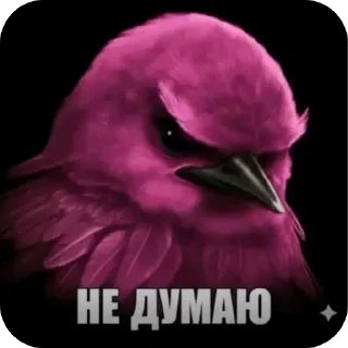 Telegram sticker 🐦‍⬛️ 🏀 Подарок за игру @StarsGame2