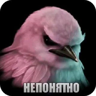 Telegram sticker 🐦‍⬛️ 🏀 Подарок за игру @StarsGame2