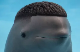 Telegram sticker 🐬 Тут секрет 👉🏽 @hotstiki