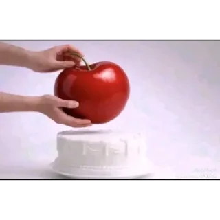 Video sticker 🍅 🎁 Получай @Podarok_9 за отправку стикеров