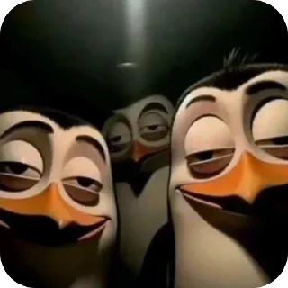 Telegram sticker 😑 🎁 ЗАБЕРИ УЖЕ @Podarok_9