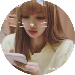 Telegram sticker 😉 Blackpink