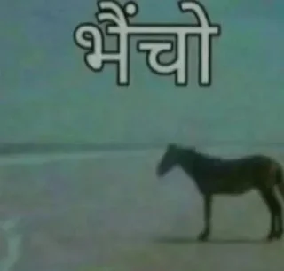 Video sticker 🌟 Naazuk @ManasTheKing :: @fStikBot