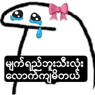 Video sticker 😝 ꧁𝒫𝒽𝓎𝓊꧂ပေါက်ကရပေါင်းစုံ sticker