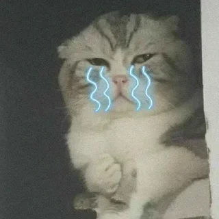 Sticker 🐾 lalalalalalalalalalalalala