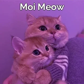 Video sticker 🥰 Okokokok
