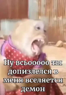 Video sticker 😔 Манки